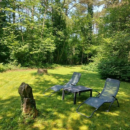 Chalet Des Pins D'Autriche Comblain-Fairon Luaran gambar