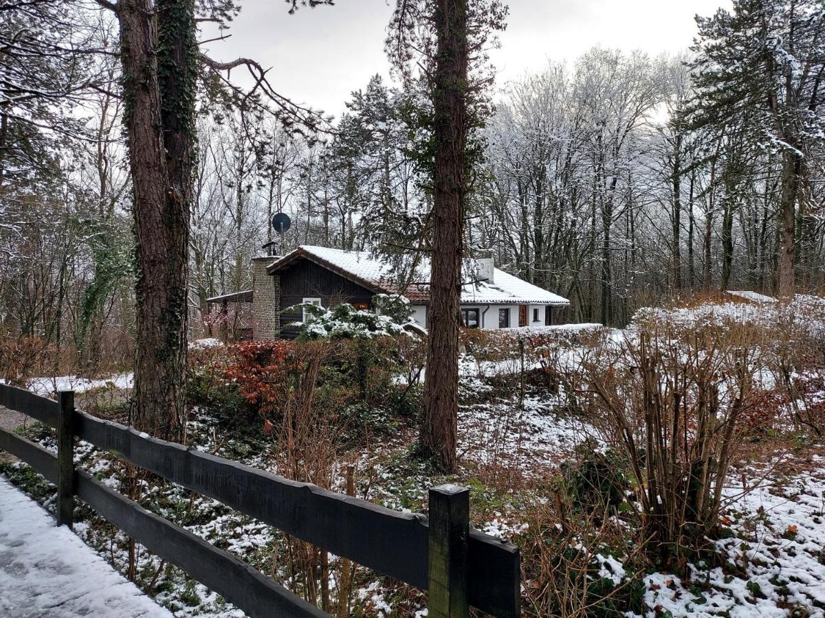 Chalet Des Pins D'Autriche Comblain-Fairon Luaran gambar