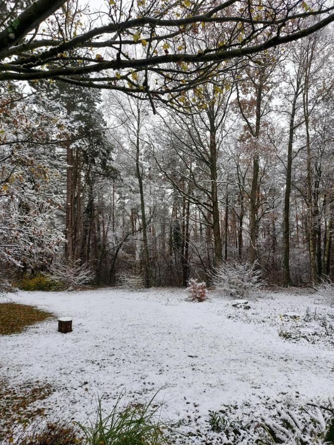 Chalet Des Pins D'Autriche Comblain-Fairon Luaran gambar