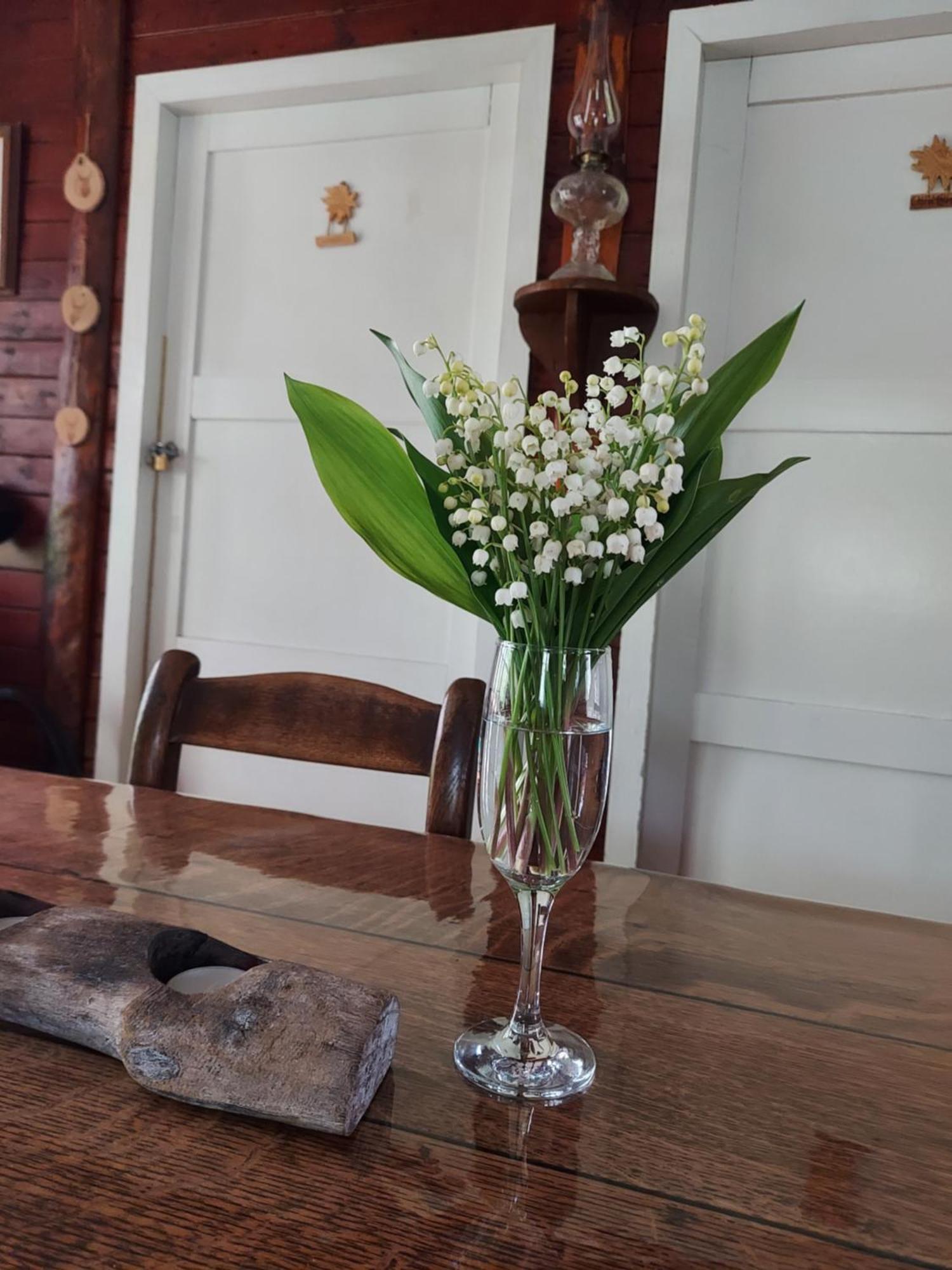 Chalet Des Pins D'Autriche Comblain-Fairon Luaran gambar