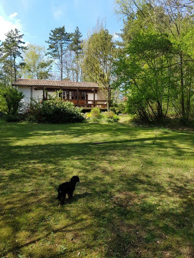 Chalet Des Pins D'Autriche Comblain-Fairon Luaran gambar