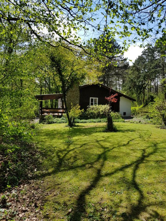 Chalet Des Pins D'Autriche Comblain-Fairon Luaran gambar
