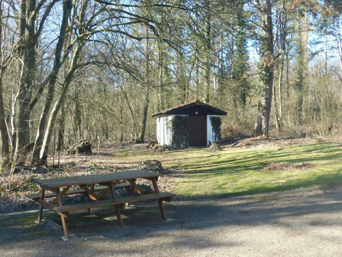 Chalet Des Pins D'Autriche Comblain-Fairon Luaran gambar
